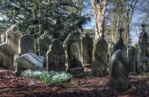 haworth spring first day march 20 2016 5 sm.jpg